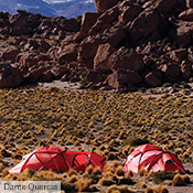 Two Saitaris in the Atacama desert in Chile.