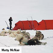 A Keron and a red Nammatj with a dog sled and team.